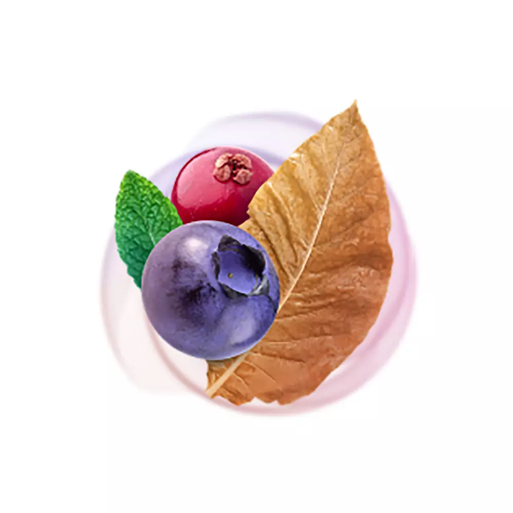 Kent Sticks - Berry Aroma (10 packs)